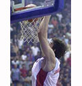 Divac u Zvezdi