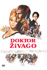 Doktor Živago (2x DVD)