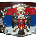 Kožni kaiš
