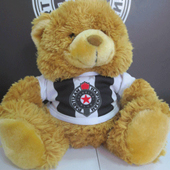 Meda FK Partizan