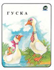 Guska