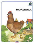 Kokoška