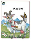 koza