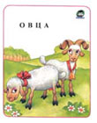 Ovca