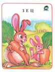 Zec