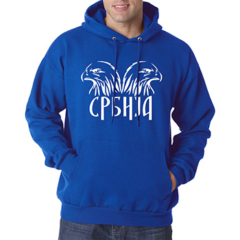 Blue sweater with hoodie 