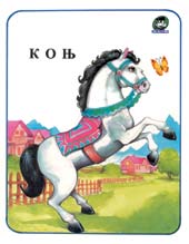 Konj